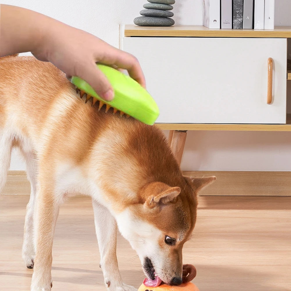 Steam brush for dogs