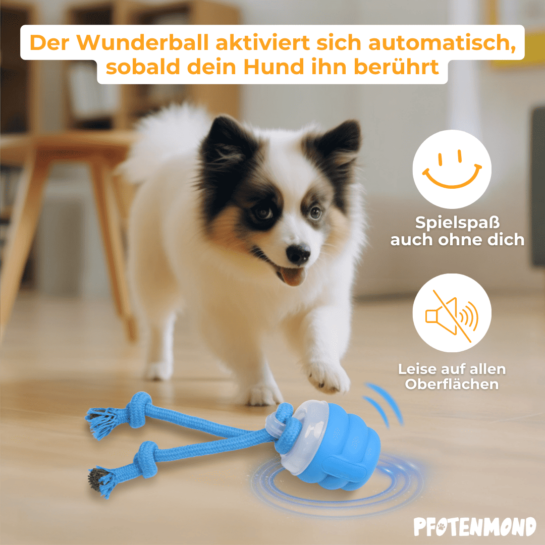 Wunderball - The bestseller