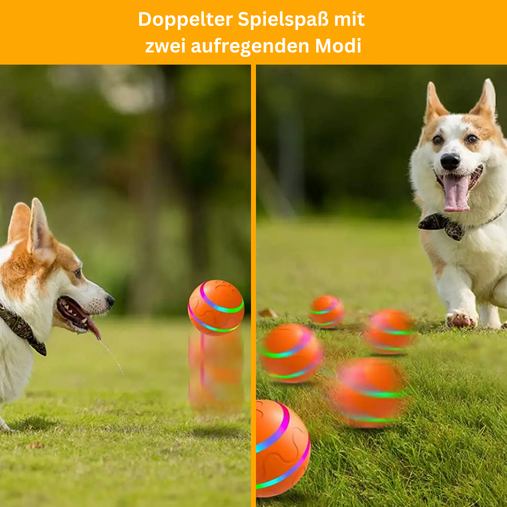 Active rolling ball for dogs