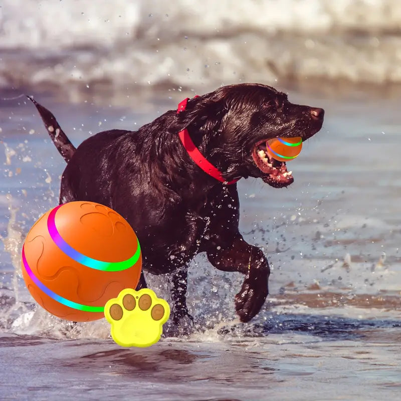 Active rolling ball for pets