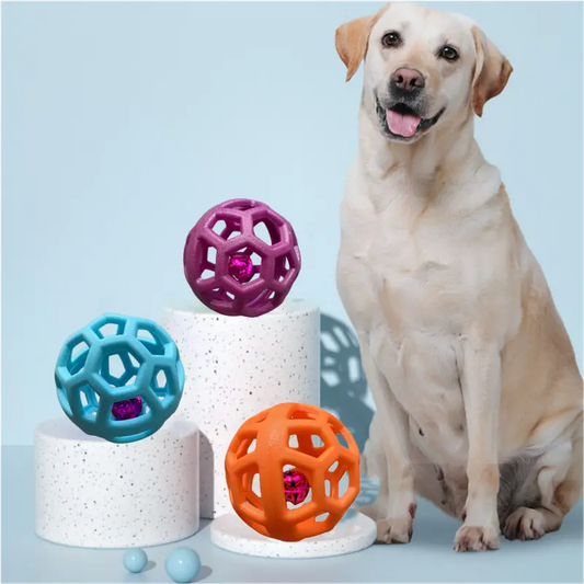 Versatile dog activity and sniffing ball