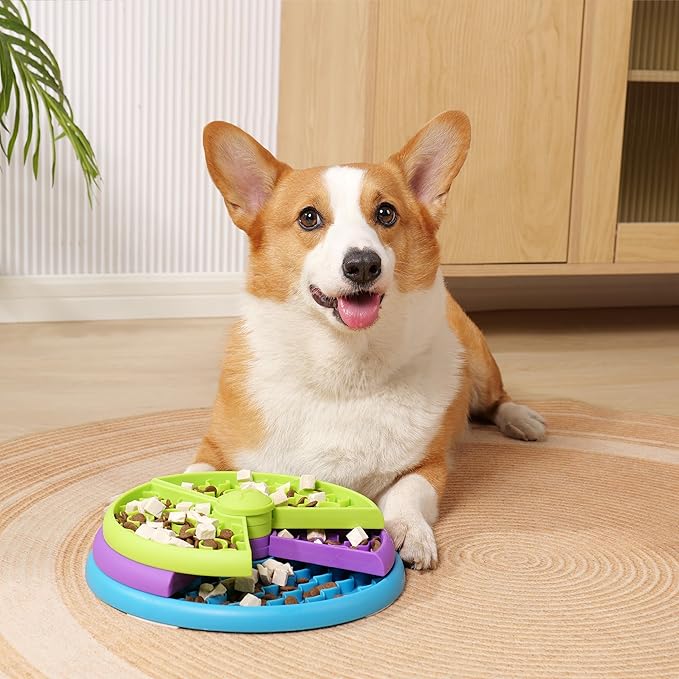 Activity food bowl with different levels