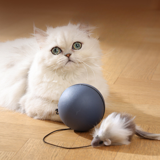 Cat turbo ball with tail toy