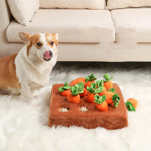 Carrot farm - interactive sniffing toy