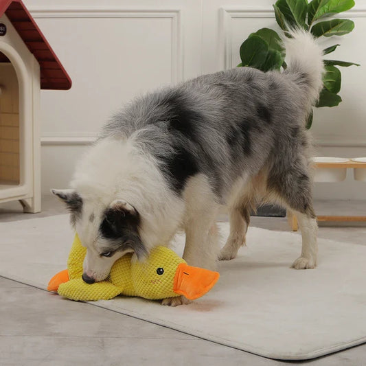 Anti-stress duck - cuddly toy for dogs