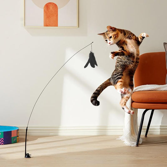 Bird game - interactive cat toy