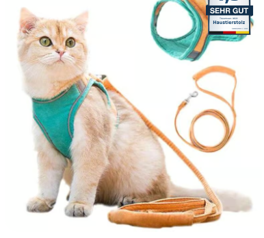 Cat harness with cat leash