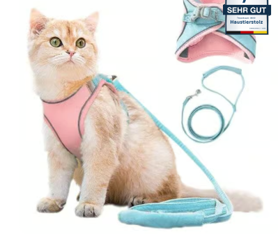 Cat harness with cat leash