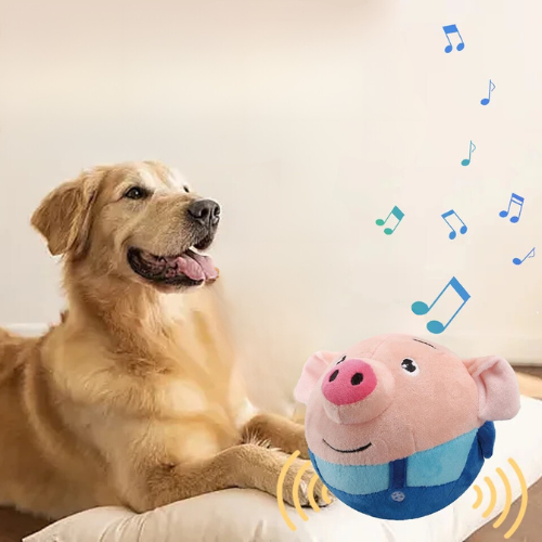 Bouncing pig - interactive dog toy