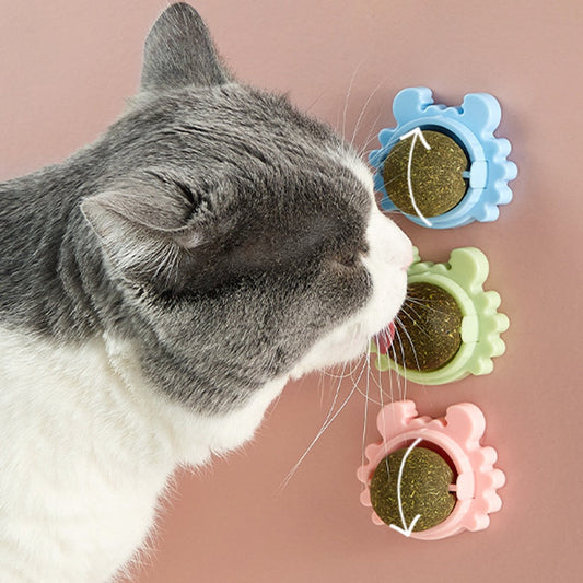 Catnip ball for cats