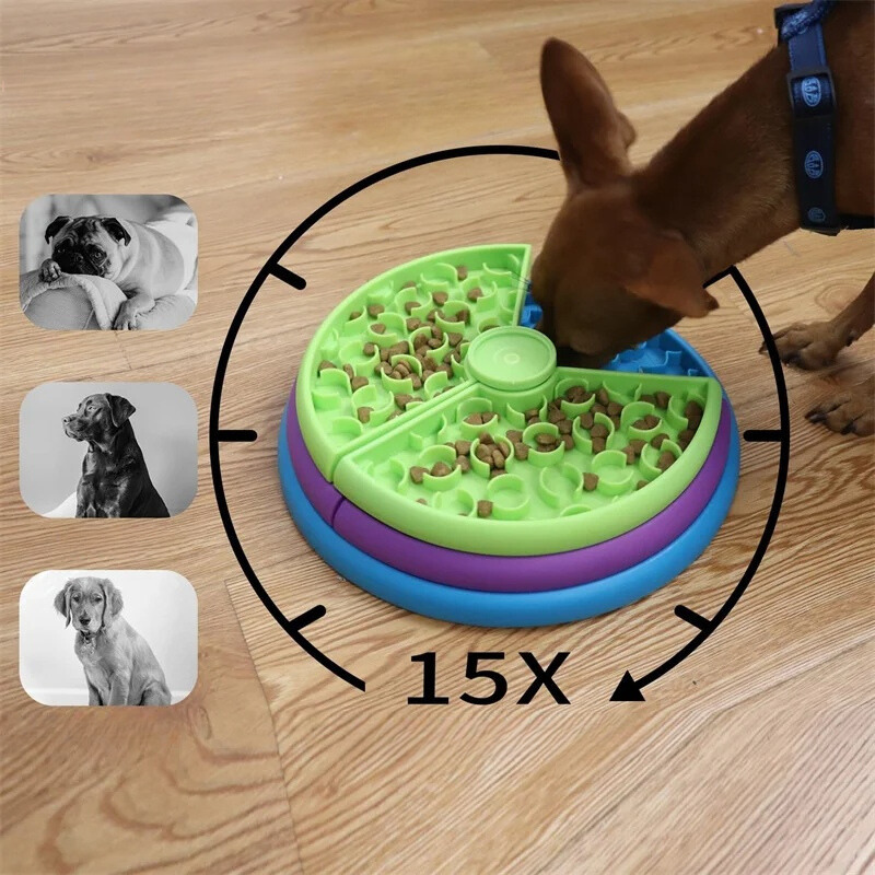 Activity food bowl with different levels